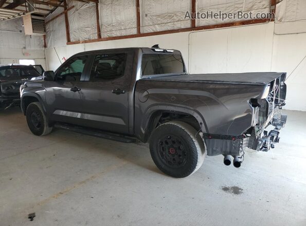 5TFPC5DB2RX054483 2024 TOYOTA LIMITED Серый Задняя левая четверть