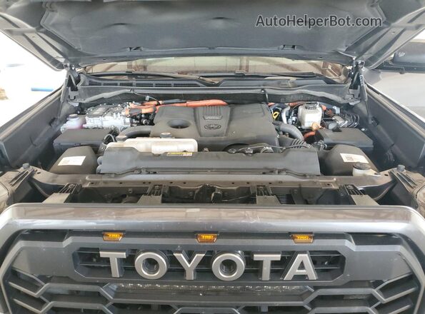 5TFPC5DB2RX054483 2024 TOYOTA LIMITED Серый Вид задней части салона