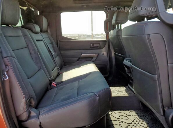 5TFPC5DB5RX083976 2024 TOYOTA LIMITED Коричневый Вид задних сидений