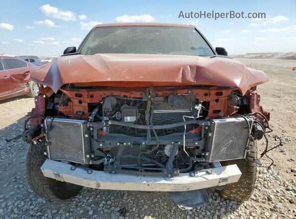 5TFPC5DB5RX083976 2024 TOYOTA LIMITED Коричневый Вид спереди
