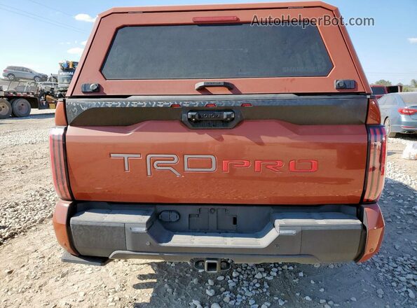 5TFPC5DB5RX083976 2024 TOYOTA LIMITED Коричневый Вид сзади