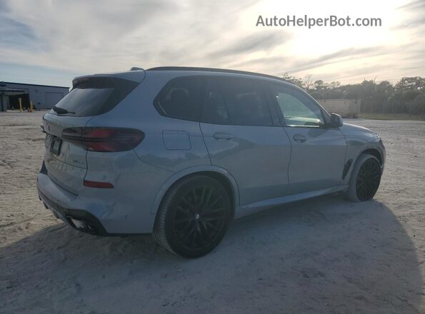 5UX23EU02R9S65436 2024 BMW X5 Gray Trasero derecho