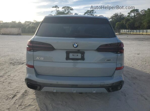 5UX23EU02R9S65436 2024 BMW X5 Gray Vista trasera