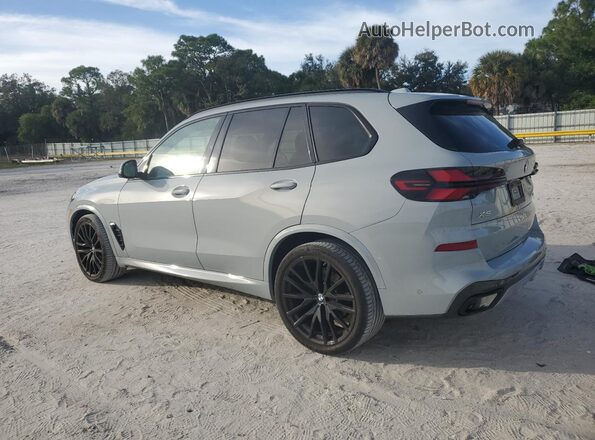 5UX23EU02R9S65436 2024 BMW X5 Gray Trasero izquierdo