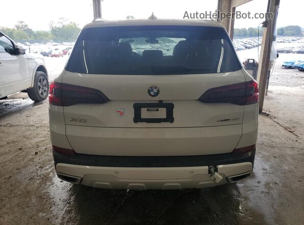 5UXCR4C02P9R40049 2023 BMW X5 White Rear view