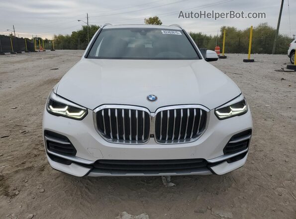 5UXCR6C03P9N53876 2023 BMW X5 White Вид спереду