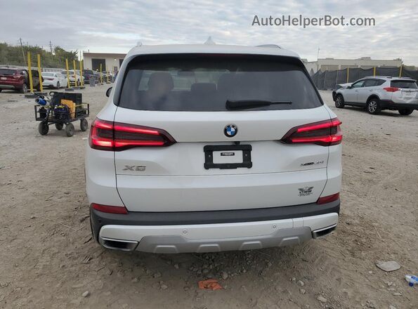 5UXCR6C03P9N53876 2023 BMW X5 White Вид ззаду
