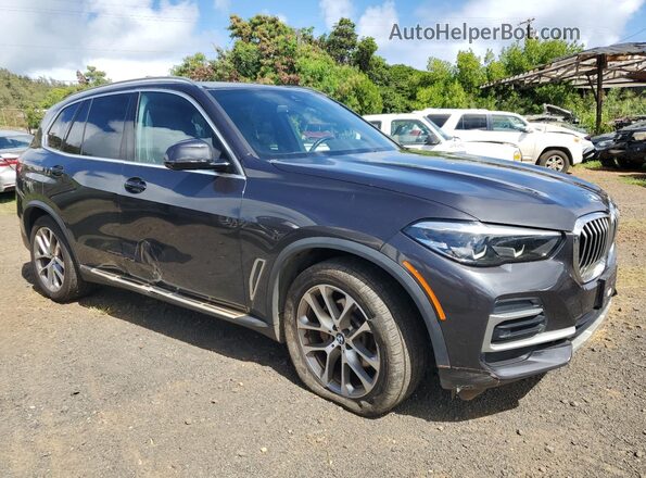 5UXCR6C05P9P19038 2023 BMW X5 Gray Առջևի աջ