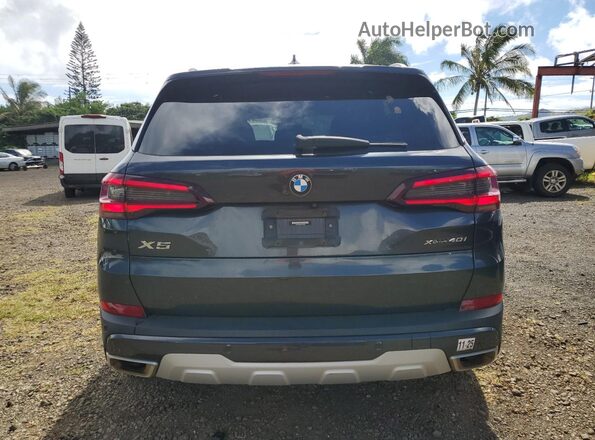 5UXCR6C05P9P19038 2023 BMW X5 Gray Հետևի տեսք