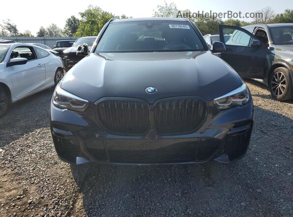 5UXCR6C08P9P77466 2023 BMW X5 Black Vista frontal