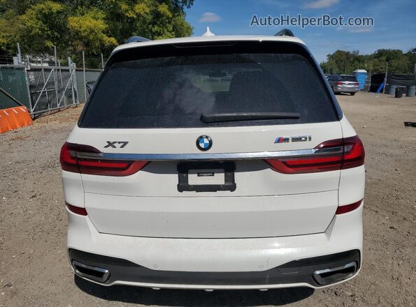 5UXCX4C52KLS36737 2019 BMW X7 White Widok z tyłu