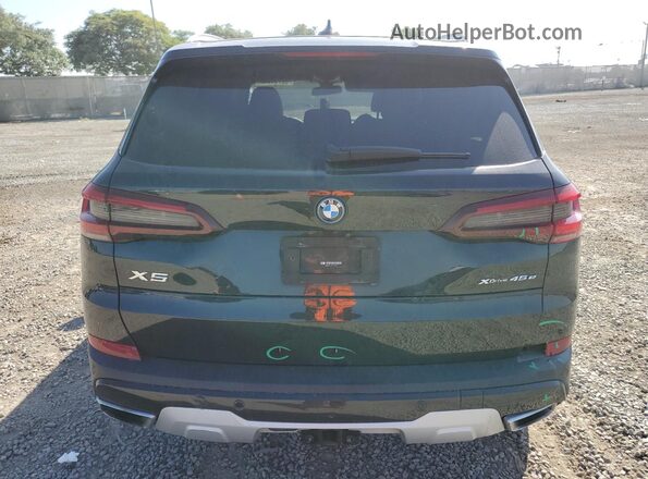 5UXTA6C03P9N74816 2023 BMW X5 Black Rear view