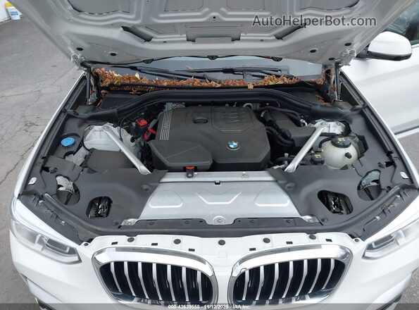 5UXTY5C01M9F44816 2021 BMW X3 White Вид ззаду
