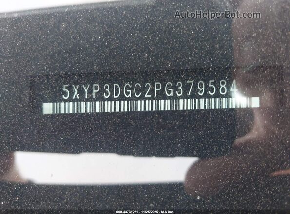 5XYP3DGC2PG379584 2023 KIA TELLURIDE Черный 