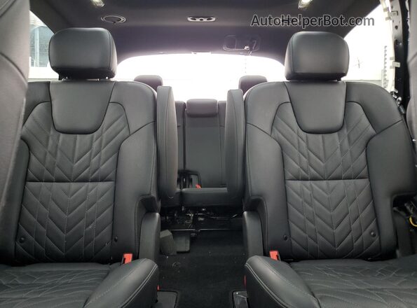 5XYP5DGC2RG475356 2024 KIA TELLURIDE Black Rear seats view