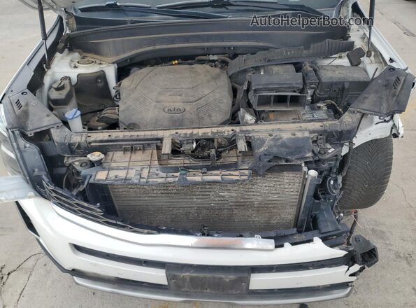 5XYP5DHC6LG031824 2020 KIA TELLURIDE White Widok komory silnika