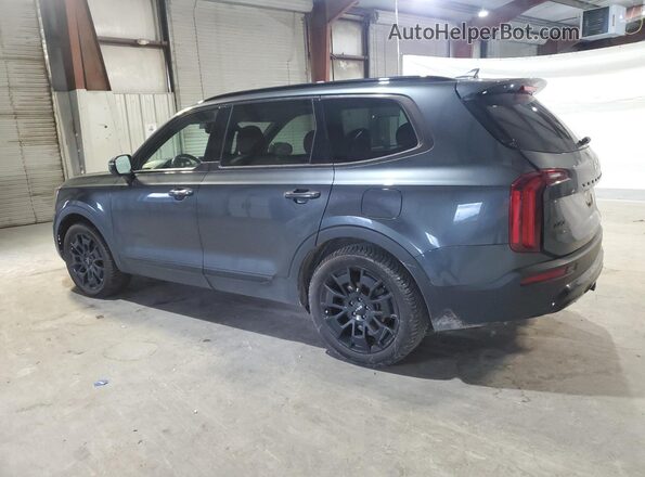 5XYP5DHC8NG302563 2022 KIA TELLURIDE Blue Հետևի ձախ