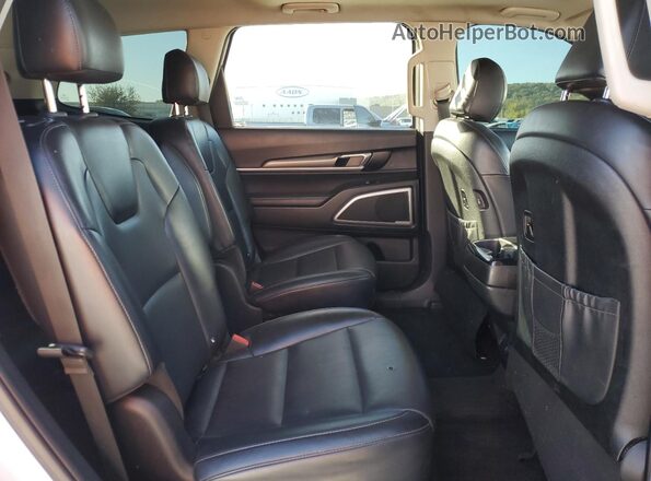 5XYP64HC6LG092796 2020 KIA TELLURIDE White Vista interior trasera