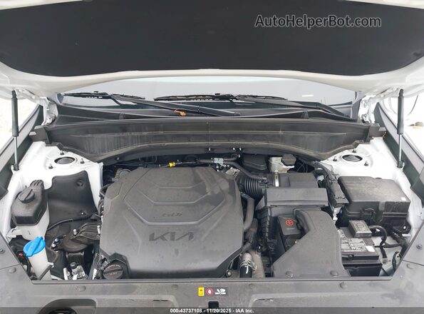 5XYP6DGC0RG518587 2024 KIA TELLURIDE White Rear view