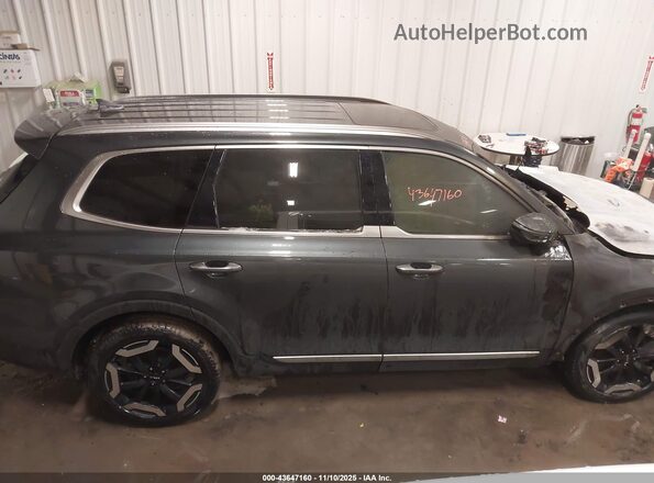 5XYP6DGC0RG520064 2024 KIA TELLURIDE Gray Vista interior trasera