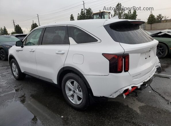5XYRG4JC6RG307053 2024 KIA SORENTO White Trasero izquierdo
