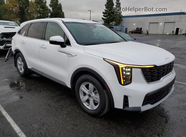 5XYRG4JC6RG307053 2024 KIA SORENTO White Delantero derecho