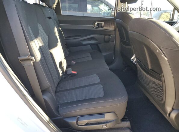 5XYRG4LC5PG168544 2023 KIA SORENTO Белый Вид задней части салона
