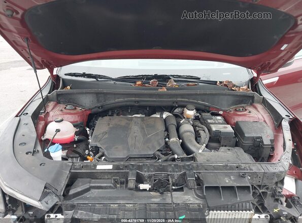 5XYRH4JF0RG274168 2024 KIA SORENTO Maroon Հետևի տեսք