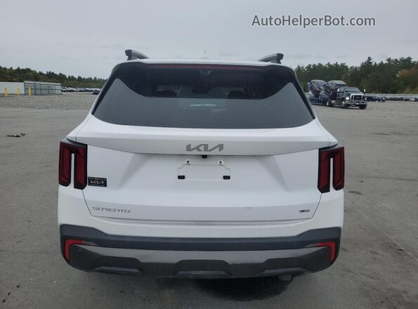 5XYRKDJF6RG299173 2024 KIA SORENTO White Rear view