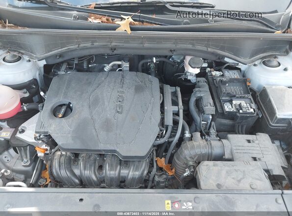 5XYRL4JC1RG296443 2024 KIA SORENTO Gray Rear view
