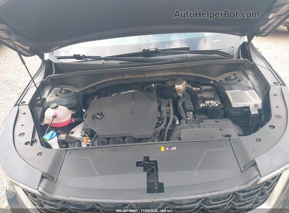 5XYRL4JC8RG301556 2024 KIA SORENTO Серый Вид сзади