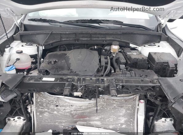 5XYRLDJC4RG287476 2024 KIA SORENTO White Rear view
