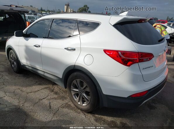 5XYZU3LB9GG355392 2016 HYUNDAI SANTA FE SPORT White Trasero izquierdo