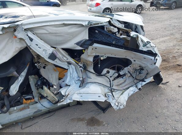 5YJ3E1EB0MF045316 2021 TESLA MODEL 3 White 