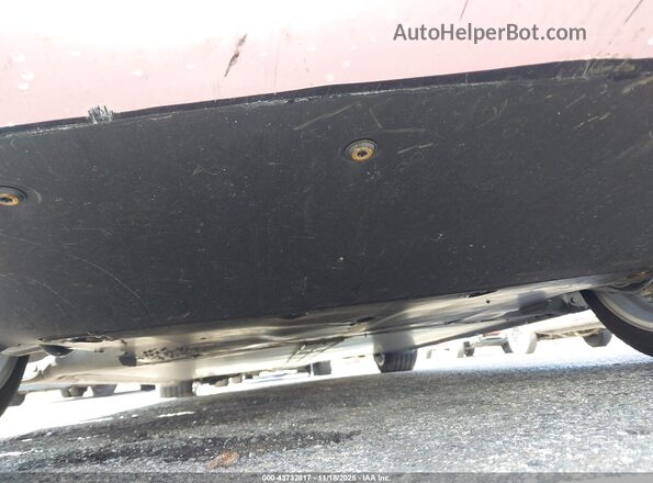 5YJ3E1EB0RF824254 2024 TESLA MODEL 3 Pink 