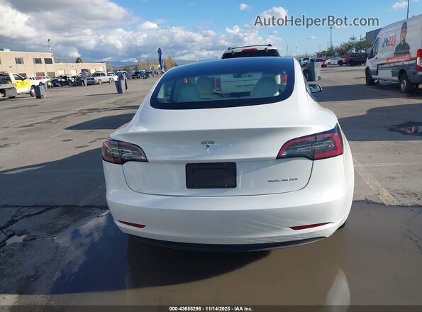 5YJ3E1EB1NF228113 2022 TESLA MODEL 3 White 