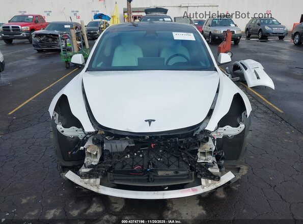 5YJ3E1EB5NF166165 2022 TESLA MODEL 3 White Սալոնի հետևի տեսք