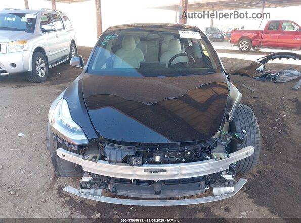 5YJ3E1EB6KF391870 2019 TESLA MODEL 3 Черный Вид задней части салона