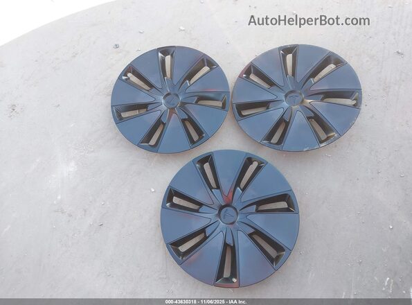 5YJ3E1EB6RF728869 2024 TESLA MODEL 3 Gray Vista del salpicadero