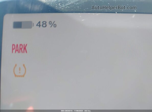 5YJ3E1EB6RF728869 2024 TESLA MODEL 3 Gray 