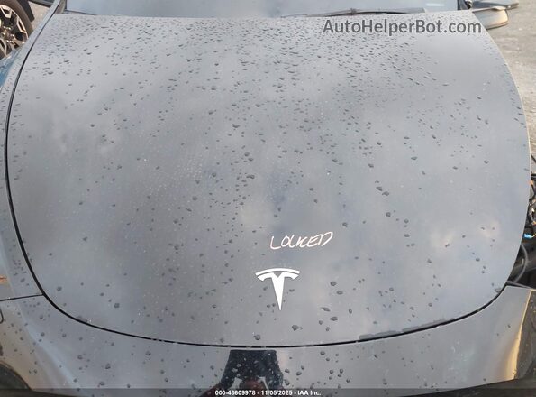 5YJYGDEE2MF222671 2021 TESLA MODEL Y Black 