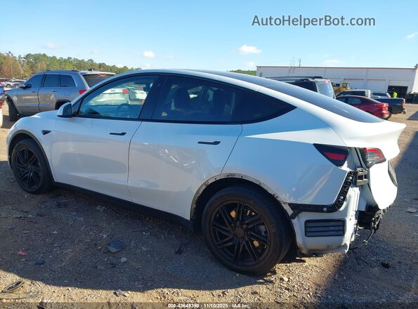 5YJYGDEE6MF090241 2021 TESLA MODEL Y White 