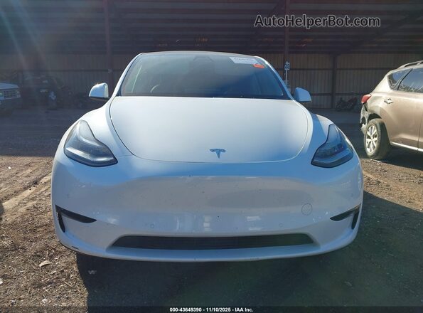 5YJYGDEE6MF090241 2021 TESLA MODEL Y White 