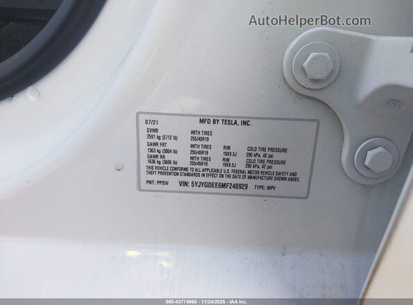 5YJYGDEE6MF240929 2021 TESLA MODEL Y White 