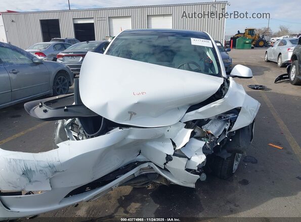 5YJYGDEE6MF240929 2021 TESLA MODEL Y White 