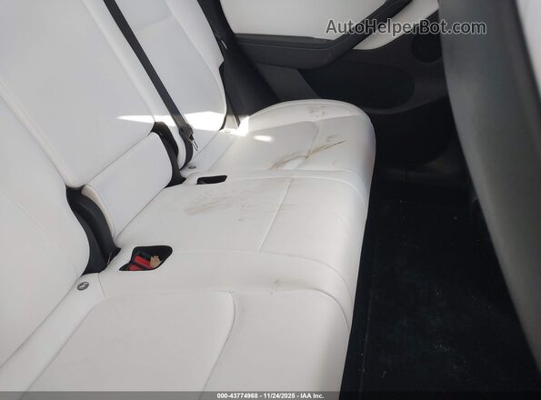 5YJYGDEE6MF240929 2021 TESLA MODEL Y White 