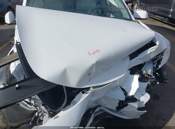 5YJYGDEE6MF240929 2021 TESLA MODEL Y White 