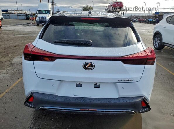 JTHB6JBH6P2150773 2023 LEXUS UX Белый Вид салона спереди