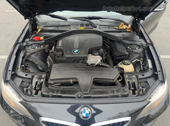 WBA1G9C52GV599148 2016 BMW 2 SERIES Black Вид панелі приладів