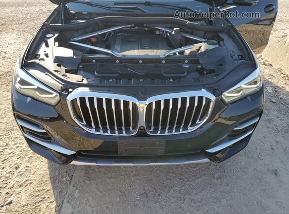 5UXCR6C01P9P19652 2023 BMW X5 Black Vista de la etiqueta del VIN